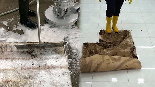 Deep Cleaning A Carpet To Reveal Original Hidden Colors
