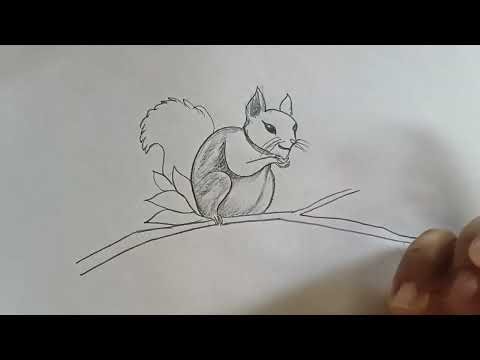 Easy Squirrel Drawing Step by Step 🐿️ | Pencil Sketch for Beginners