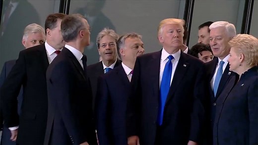 1.1M views · 10K reactions | Trump In The Wild: A Nature Documentary | Funny Or Die | Facebook