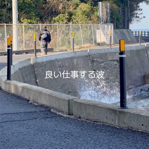 【スケボー】【クルーザーボードでおでかけ】#クルーザーデッキ #クルーザーボード #スケボー #skateboard #cruising #smb #smblanks