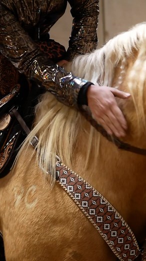 Sandstorm Leather Tack for Horseback Riding