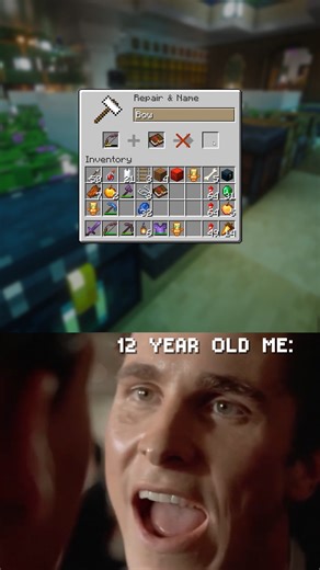 Heliosentrismo on Instagram: "That's all I want 😞 Wanna play? Join our forever chilling smp c: (ip on discord) #minecraft #gaming"