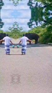 79K views · 1.5K reactions | Visit Sri Lanka | Visit Sri Lanka | Facebook