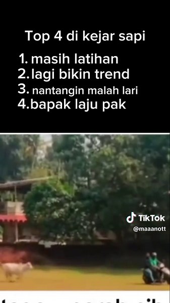 Kejar Sapi yang Lucu dalam Video Menarik Ini