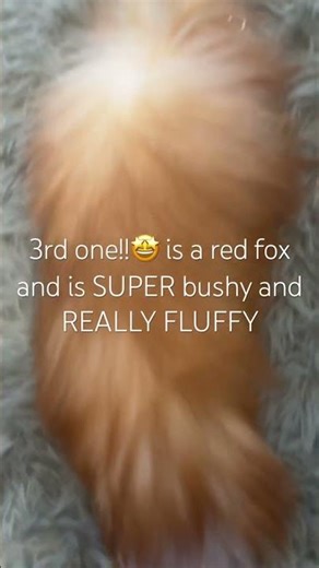 Tail haul!!!!!!! #beach #fox #cosplay #fypppp #cute #costume #edit #fursuit #foxie #foxface