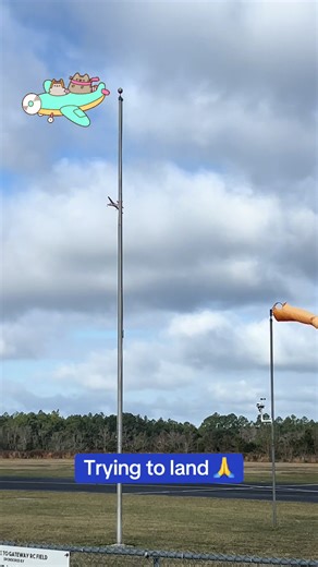 A Pilot's Journey: Landing Techniques for Success