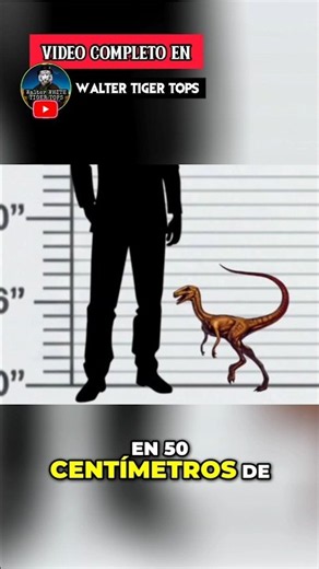 Compsognathus from Dino Stalker
