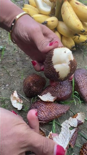 Salak Pondoh #salakpondoh