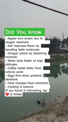 Cooking Science Facts