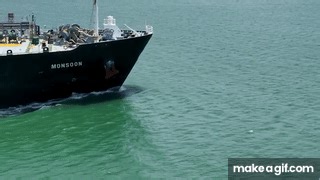 Dolphins Playfully Jumping in the Bow Wave of a Massive Ship! in 4K on Make a GIF