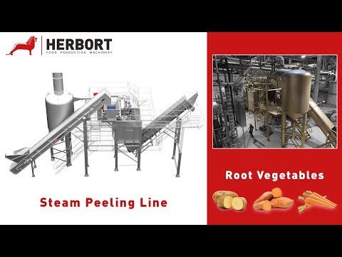 Static Steampeeling line (Up to 37 t/h for potatoes) I Herbort