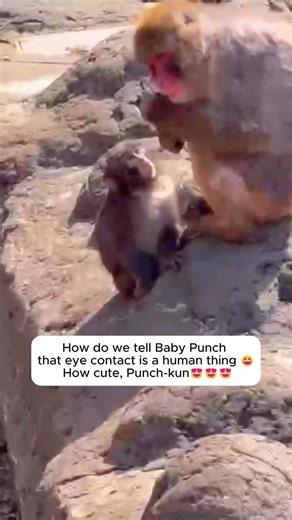 Baby Punch’s Eye Contact Will Melt You | ft. Best Trio