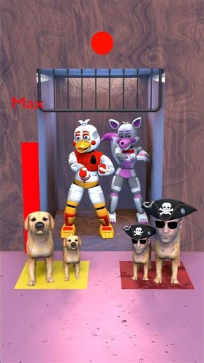 Real dog or fake dog? #dog #funny #cat #shorts