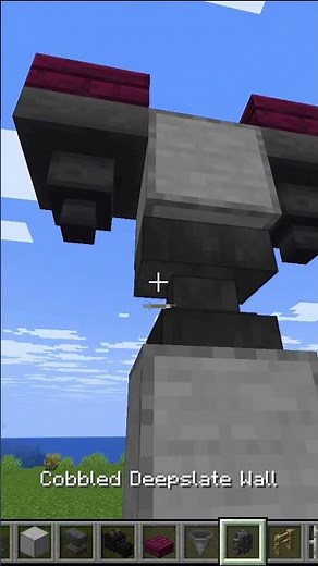 I Built The Ender Dragon In Real Life