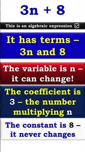 Algebra Basics: Terms, Variable, Coefficient & Constant Explained!