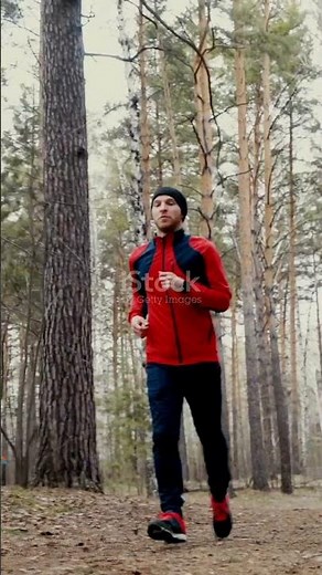 You Won’t Believe How Fast a Red Fox Runs!