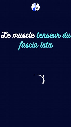 👋 Bonjour les anatomistes 📄Fiche anatomie : muscle tenseur du fascia lata ➡️ le muscle tenseur du fascia laga est un muscle fusiforme appartenant au groupe musculaire des muscles glutéaux. 🦴 Origine : il naît de : • la lèvre externe de la crête iliaque • l'épine iliaque antéro-supérieure 🦴 Terminaison • Il s'insère sur tractus ilio-tibial, qui lui même s'insère sur l'extrémité supérieure du tibia ⚡Innervation • Il est innervé par le nerf glutéal supérieur, issu du plexus sacré 🩸Vascularisat