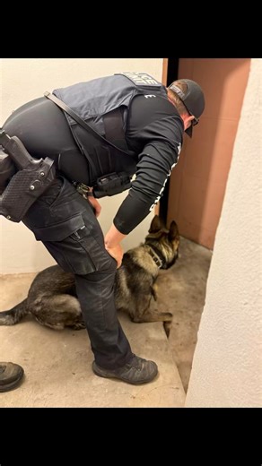 POV: CPD K-9 TRAINING DAY • Routine training is the foundation of our K9 program. These exercises not only enhance performance and safety but also reinforce the strong partnership between our handlers and their K9 partners 🤝🏼🐾 | Chico Police Department