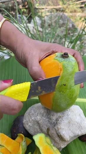 Kupas mangga kopyor #viralvideo