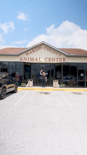 Marion County Animal Services on Reels