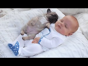 Adorable Baby & Dog Moments You Must See!😍 | Baby and Dog Videos😂