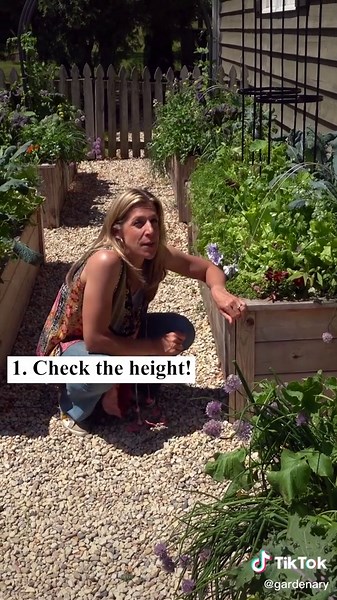 Tips for Building Raised Garden Beds on a Budget