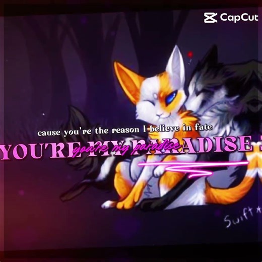 Swiftpaw x Brightpaw || Infinity ♾️