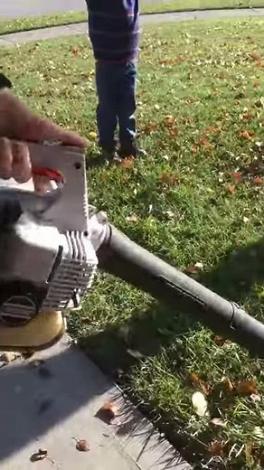 Echo PB-2100 Gas Leaf Blower