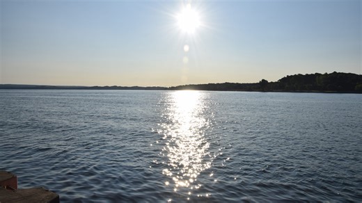 What's the weather forecast for March 12 in Livingston County?