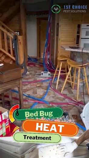 1st Choice Pest Solutions on TikTok