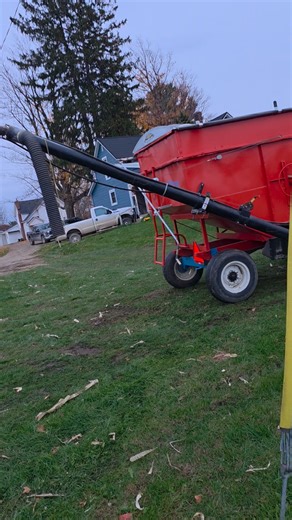 Changes at the farm...we have sold all our cattle. First time with no cattle in a really, really long time. (Guessing since Mom and Dad got their first ones after they moved here in 1967). We couldn't find enough that we could afford to keep the barn from freezing during the winter. We went to the auction today and got two new additions. Tried to find them homes bit failed. 😪 Winter machinery shuffle is on. Thanks for all the support. | Stanton Farms