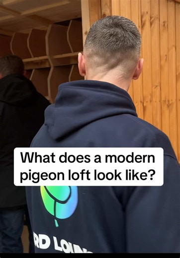 Took a look inside some brand new custom-built pigeon lofts on my tour around the Blackpool Winter Gardens 2026 Pigeon Show. I didn’t expect them to be this well thought out — proper ventilation, smart layout, everything lined up and ready to go. It’s cool seeing how much effort goes into these builds before a single bird even moves in. Definitely opened my eyes to what a modern loft can look like..