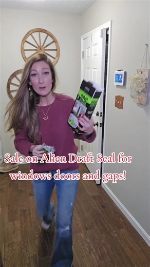 Alien draft Seal! Comes in 2 sizes. Fill those gaps so the air doesn't seem through! #alienseal #draft #keepwarm #winteressential #tiktokshopcreatorpicks
