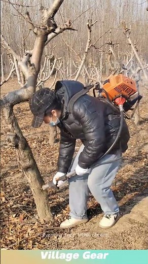 Preventing tree trunk borers! #tips