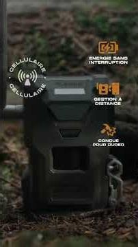 Lancement caméra Spypoint Flex M2