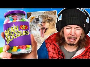 If I Laugh, The Video Ends 287