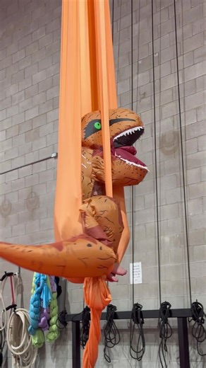 The Circus Company on TikTok