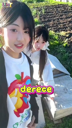 Hakkaten Bişey Yapmadılar