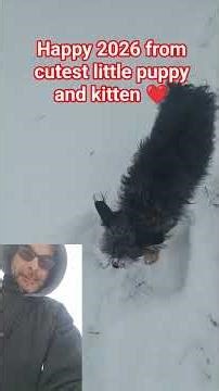 Happy 2026 from Buttercup and Princess😍...and dad #oldies #happyholidays #cat #puppy