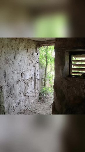 Building Abandoned Shelter for Survival - Part 2 #bushcraft #camp #camping #survival #shelter #wildlife #outdoors #outdoor #viral #fyp #foryou