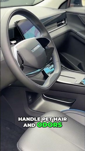 Jaecoo J5 EV The Ultimate Car for Dog Moms and Their Instagrams!