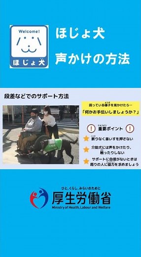 もっと知って！ほじょ犬 #Shorts