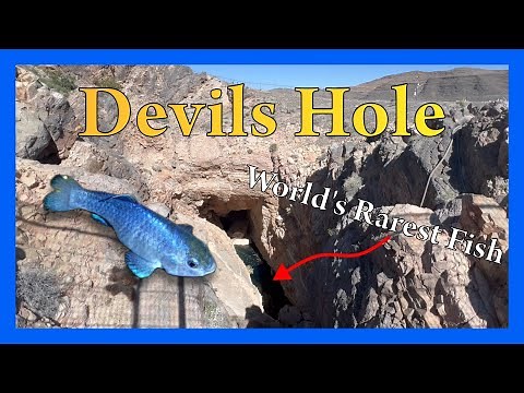 Devils Hole: Nevada's Window to the Aquifer