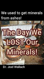 One of the most important sources of concentrated plant-derived (colloidal) minerals was WOOD ASH! Electricity provides precisely zero nutrients.⁠ .⁠ .⁠ .⁠ Contact us for a FREE health evaluation. Link in bio! Fill out your questionnaire and send it to one of our coaches on the contact page.⁠ .⁠ .⁠ This clip is from the audio “Deadly Recipe” on our YouTube channel Wallach's Warriors.⁠ .⁠ .⁠ .⁠ @wallachswarriors⁠ .⁠ @notusfoods⁠ .⁠ @wallachsdistributors⁠ .⁠ .⁠ .⁠ .⁠ #deaddoctorsdontlie#drjoelwall