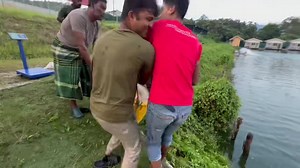 11K views · 164 reactions | After a long week , there you go. 朗...