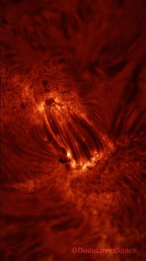 Our Hauntingly Beautiful Sun Up Close - Captured with my Telescope #astronomy #space #sun