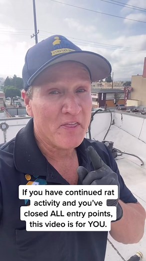 Twin home experts on TikTok