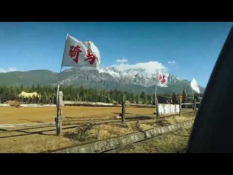 Calm Your Mind Wandering: The Power of a Walk