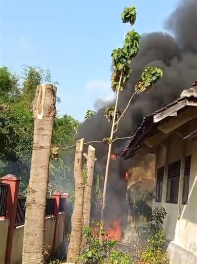Kebakaran di gedung sekolah SMP Negeri 3 Tawangsari, 2 unit Gajah Merah diluncurkan dari Mako Damkar Sukoharjo, Selasa (28/4/2026) sekitar pukul 15.15 WIB. Tidak ada korban jiwa, sementara penyebab pasti kebakaran belum diketahui. Video kiriman: Wawan ICS INTI #fypシ #fypシ゚viral #beritaviral #infocegatansukoharjo #tawangsari