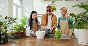 In a bright, airy greenhouse, a multicultural team of female gardeners care for indoor plants, demonstrating teamwork and a shared passion for horticulture.